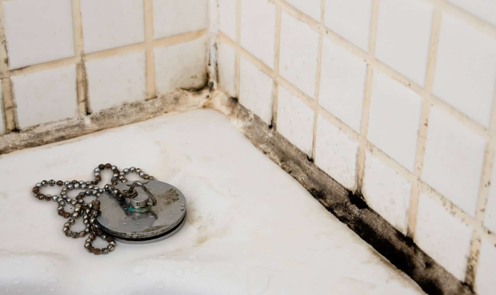 Spotting a Leaking Shower Early