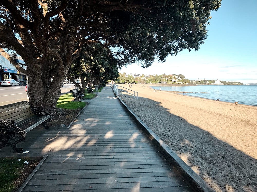 Shower Repair South Auckland – Your Local Shower Experts