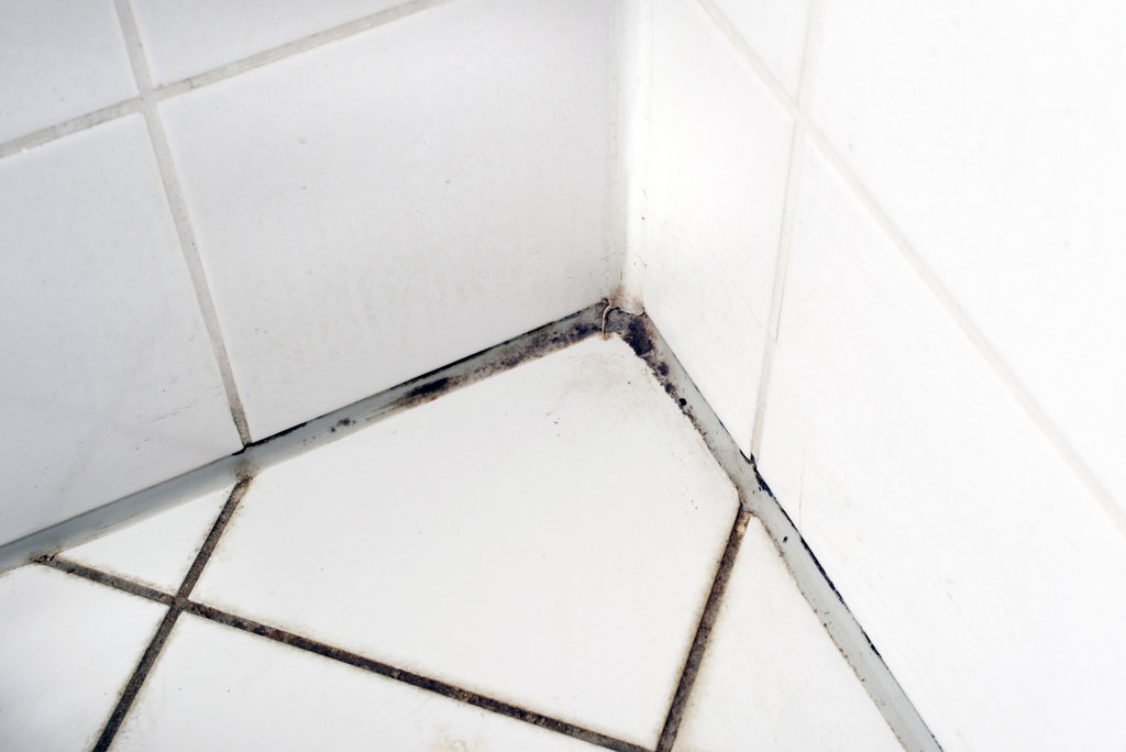 ShowerFix - How to replace mould on shower silicone