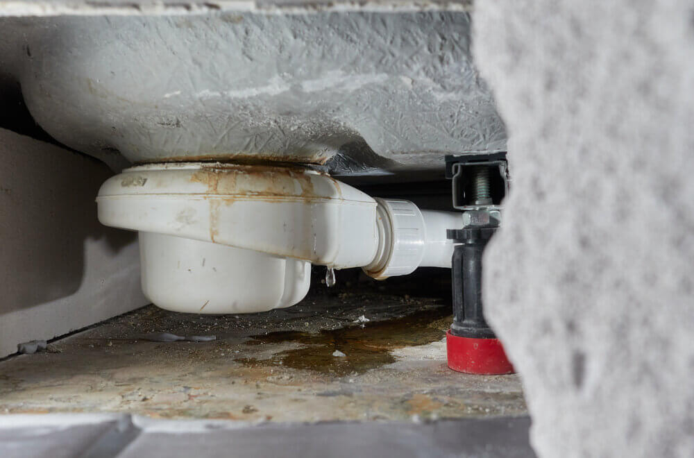 ShowerFix | The True Cost of Ignoring Shower Leaks