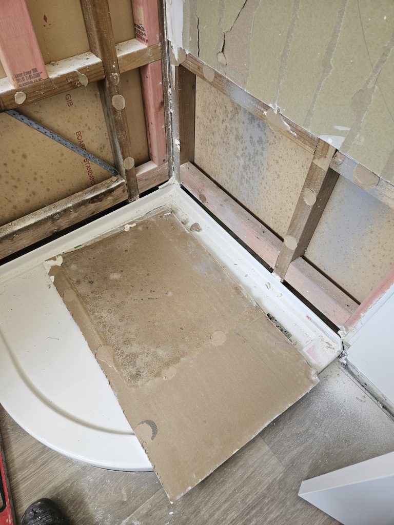 Affordable Shower Repair New Zealand